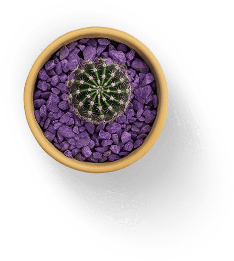 Image is not available